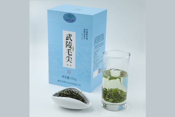 武陵毛尖